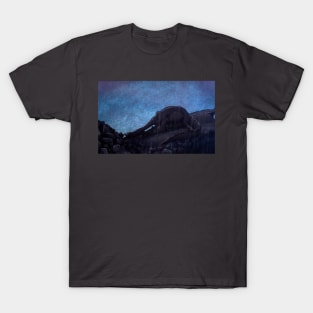 Littlefoot T-Shirt